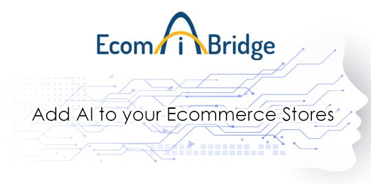 EcomAiBridge